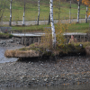 Bilder vom Teich ablassen